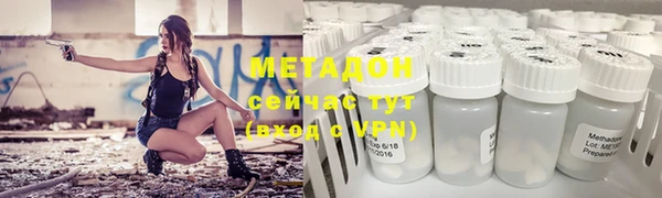 прущие грибы Рославль