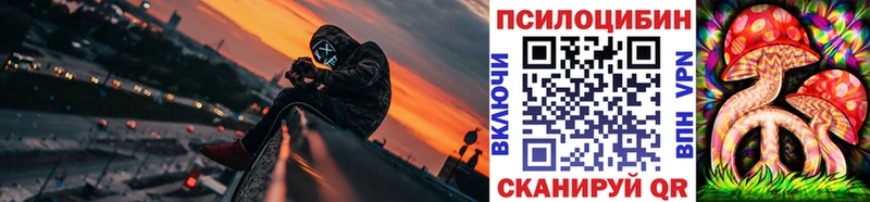 цена   Неман  Галлюциногенные грибы Psilocybine cubensis 