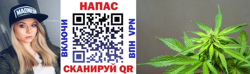 Бошки Шишки план маркетплейс телеграм Неман